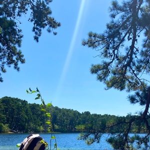 Meet your Posher, Bridgette